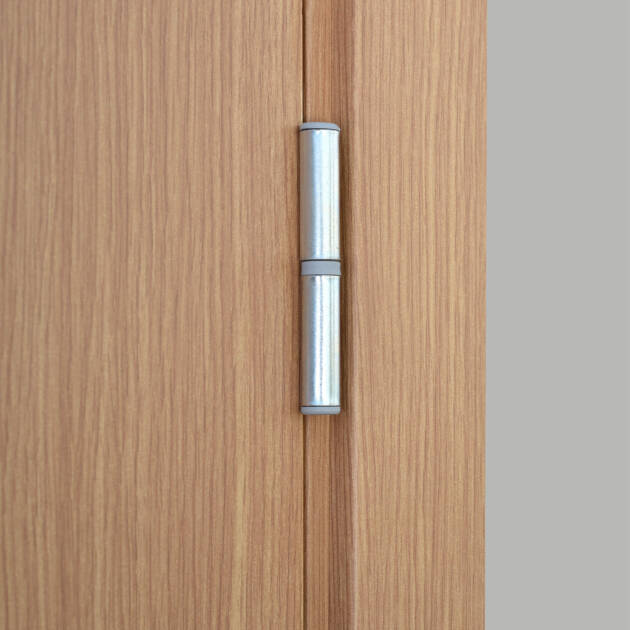 Door Hinges