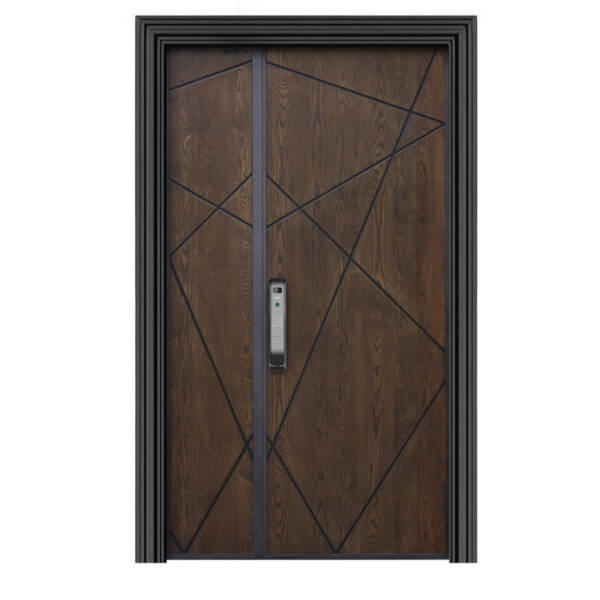 Sample Security Door - Image 5